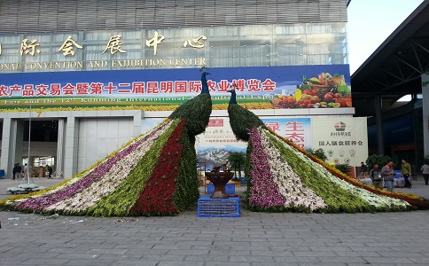 第十四界國際農博昆明市花籃